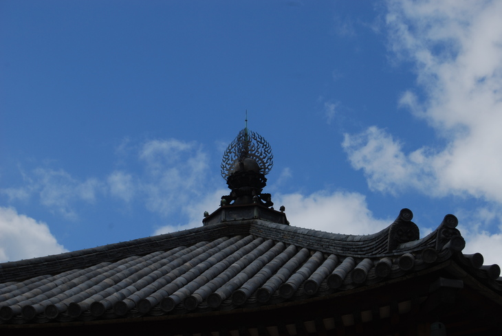 d0087062_1735129.jpg