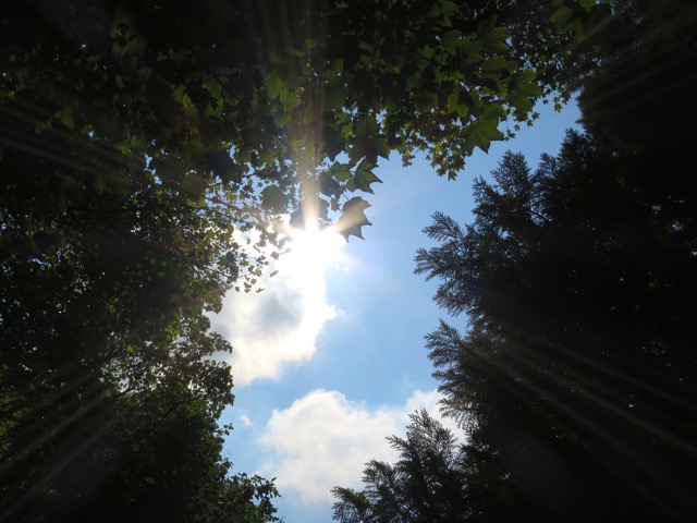 c0194065_22561414.jpg