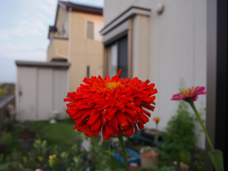 b0194267_22191350.jpg