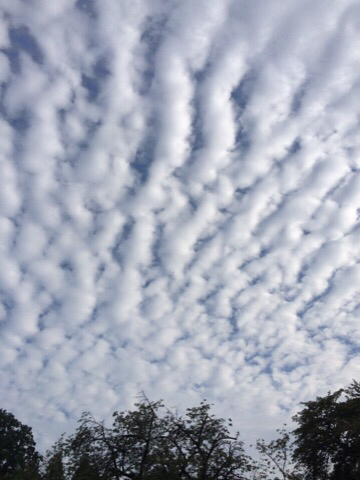 c0102268_21342251.jpg