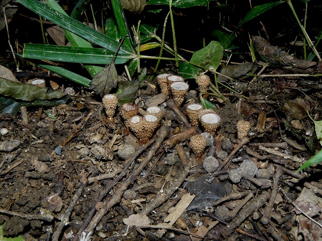 d0019074_8362259.jpg