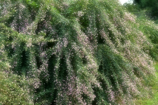 e0344574_17474564.jpg