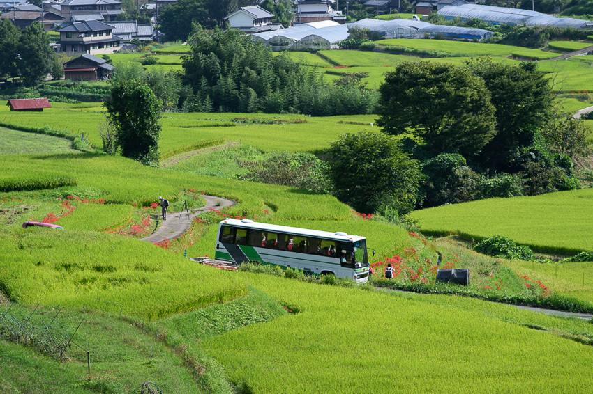 a0301676_14132626.jpg