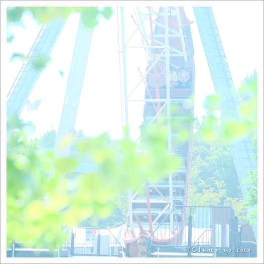 d0274977_22082135.jpg