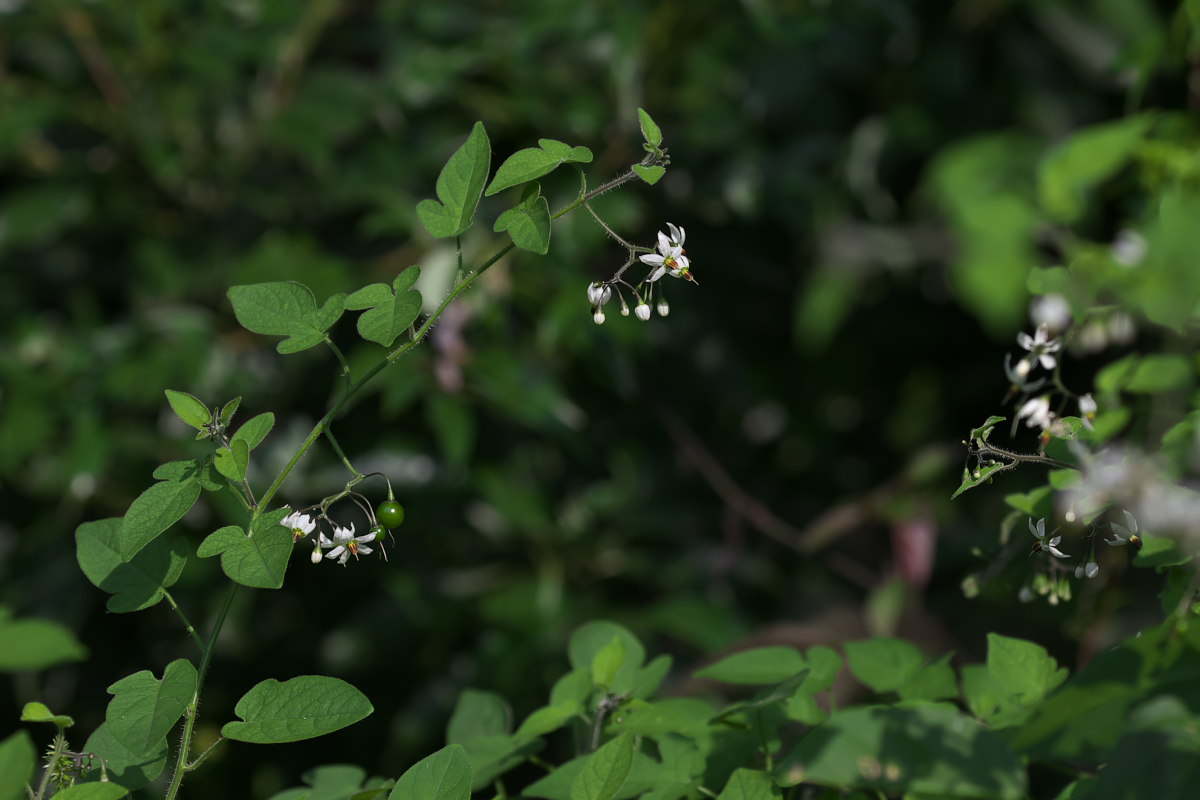 a0083081_13245313.jpg