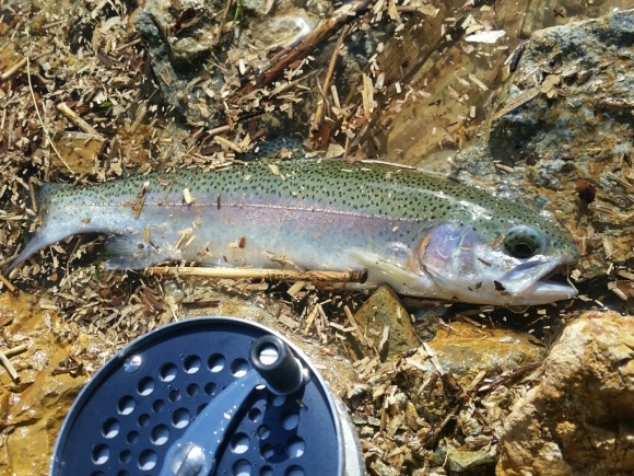 f0199881_18212442.jpg