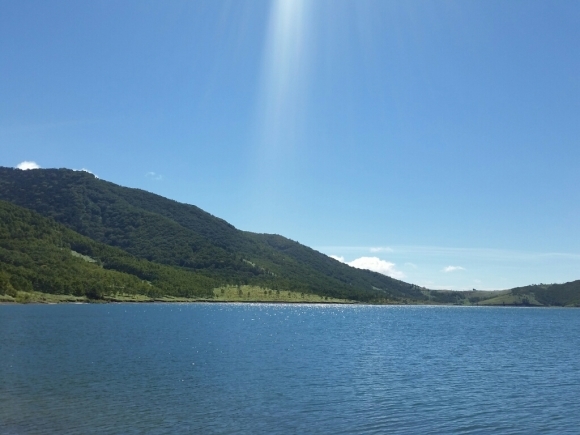 f0199881_18212628.jpg
