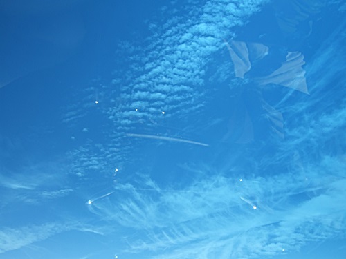 e0086885_13333933.jpg