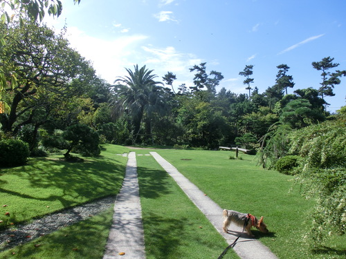 e0123587_21253751.jpg