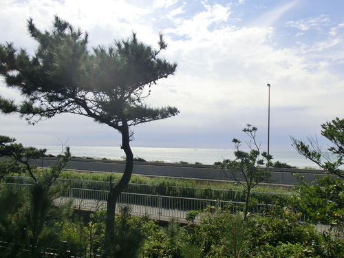 e0123587_21255120.jpg