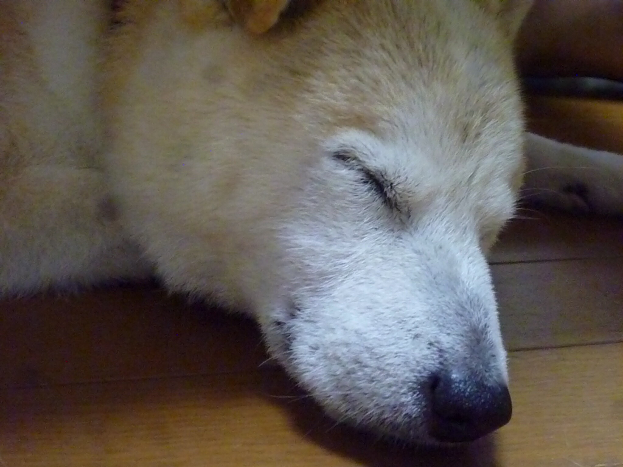 c0123890_20195313.jpg