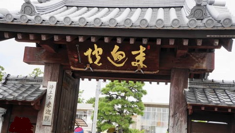 c0122791_1652625.jpg