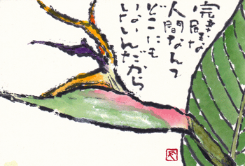a0030594_23371598.gif