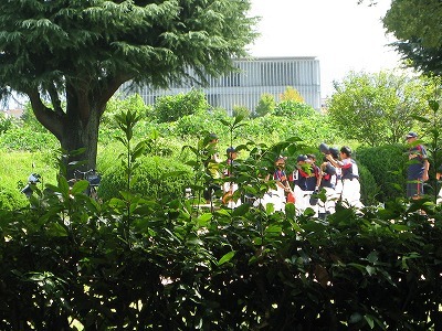 f0181394_17353049.jpg
