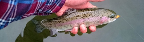 f0266202_20304133.jpg