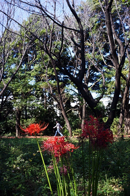 c0187503_1822314.jpg