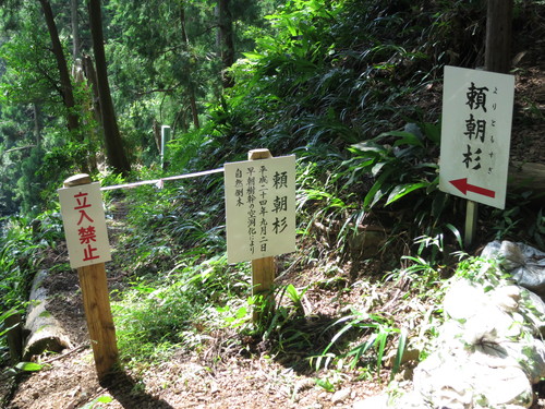 e0167411_1920383.jpg