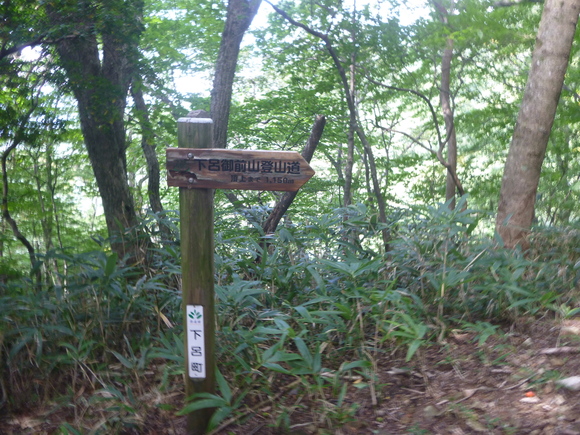 d0170615_2043295.jpg