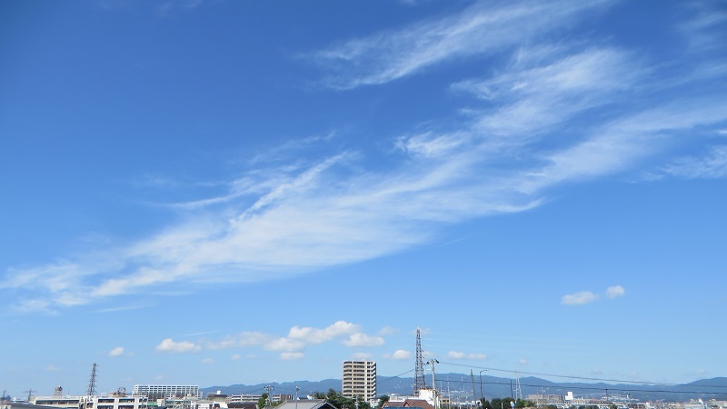 c0280322_16220894.jpg