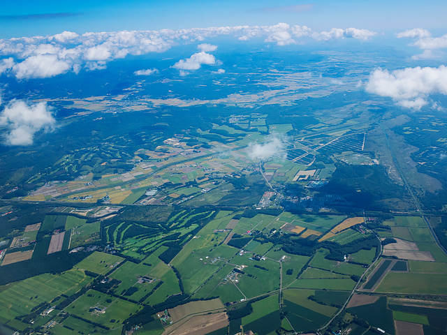 b0085526_1781648.jpg