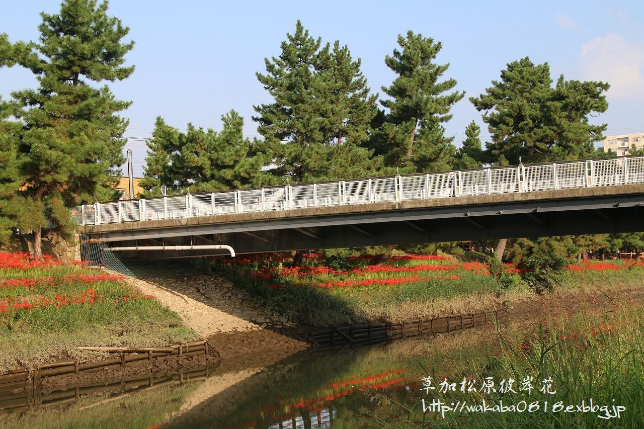 e0052135_18521872.jpg
