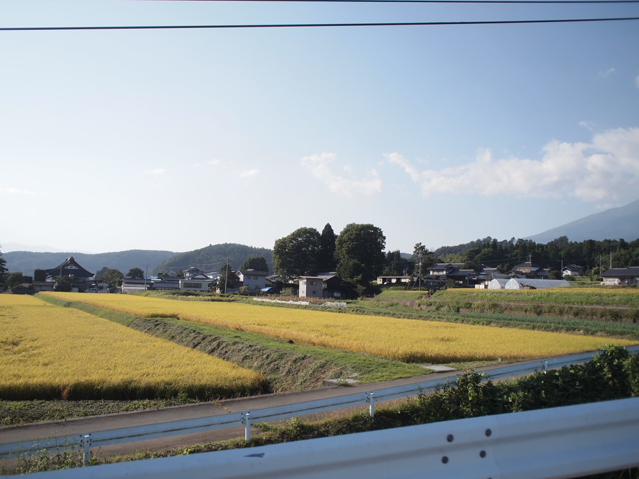 a0299945_21274516.jpg