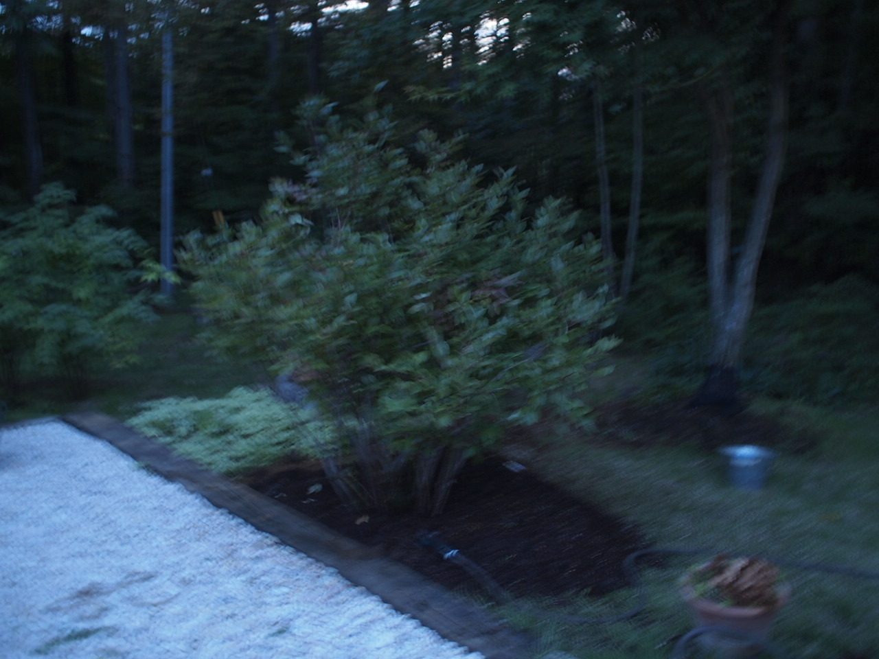 a0299945_21322199.jpg