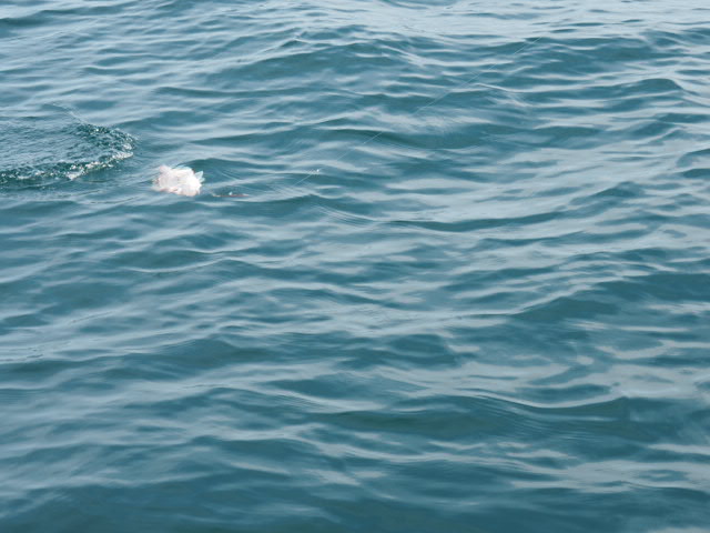 a0248152_18194568.jpg
