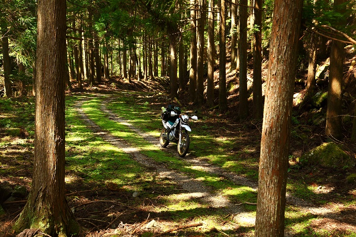 c0348553_21395388.jpg
