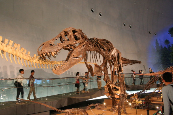 b0092958_11463777.jpg