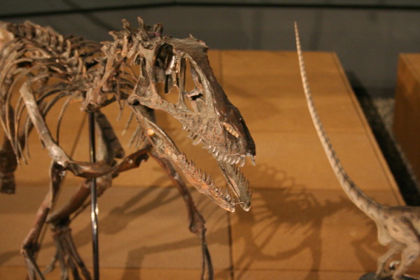 b0092958_11464726.jpg