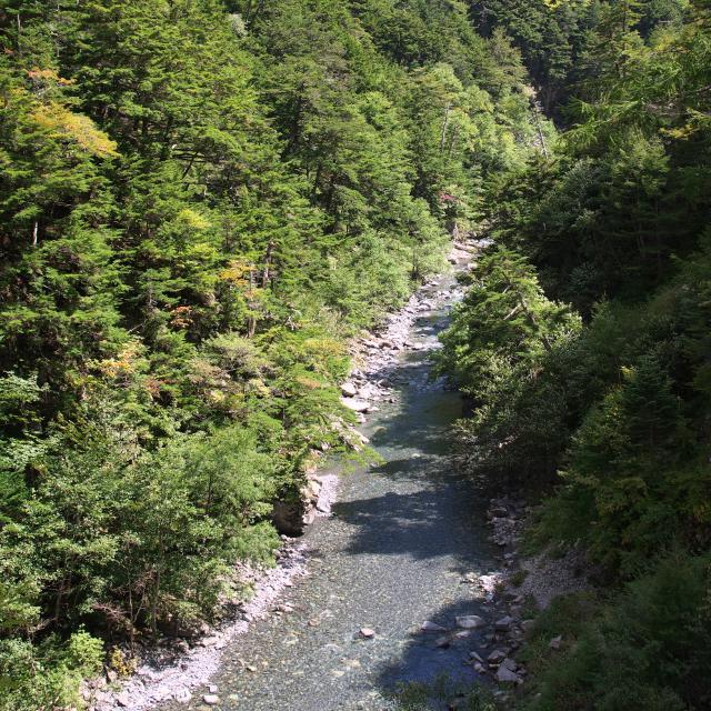 b0320758_20273950.jpg