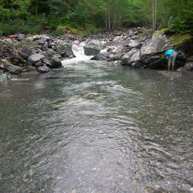 b0320758_20344922.jpg
