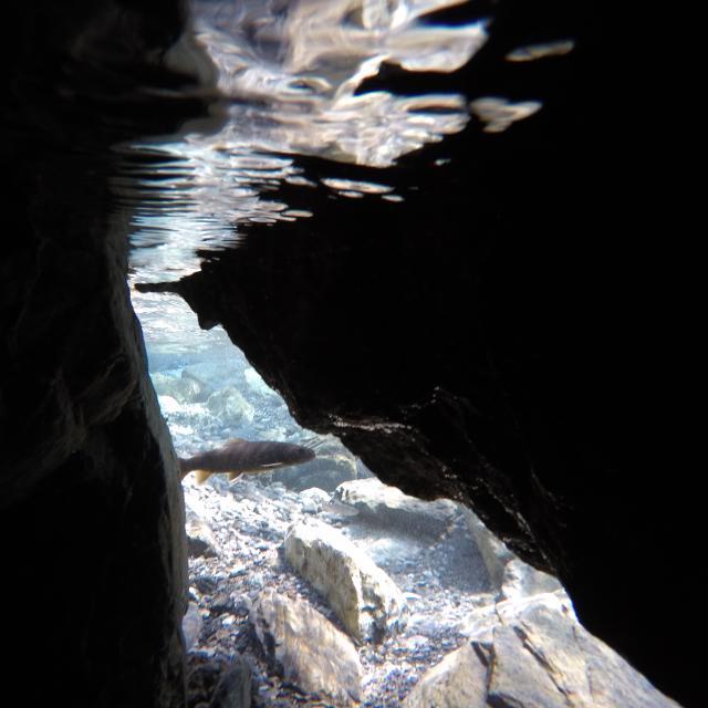 b0320758_20355954.jpg