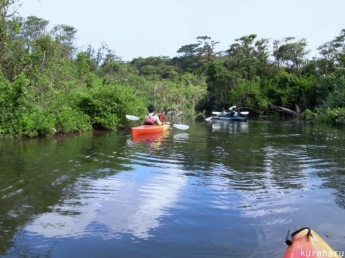 b0336361_07562133.jpg