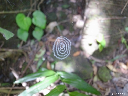 b0336361_10234481.jpg