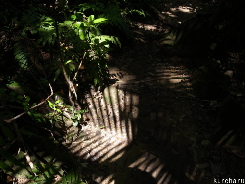 b0336361_10241559.jpg