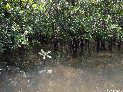 b0336361_12021714.jpg