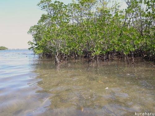 b0336361_12023556.jpg