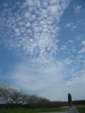 e0271461_08235603.jpg