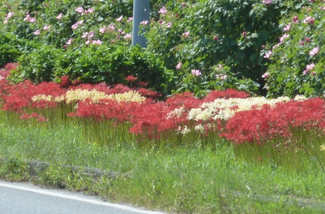 e0278968_21171593.jpg