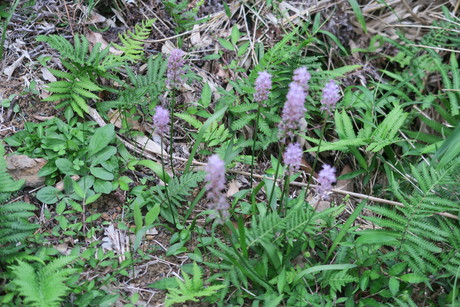 e0292172_2044612.jpg