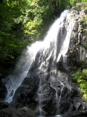 c0289473_9574539.jpg