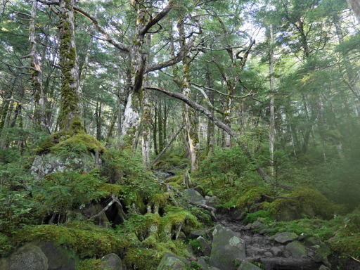 f0054075_18582530.jpg