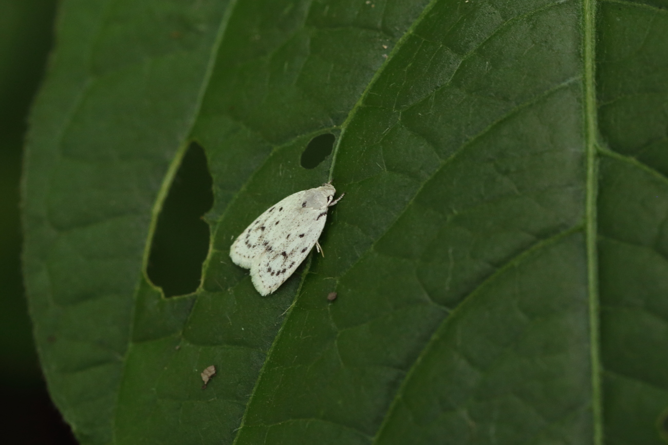 e0249878_00195797.jpg