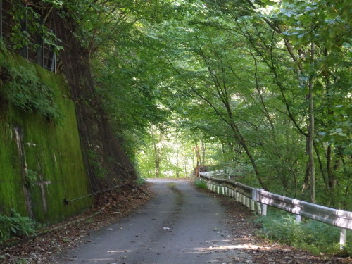 b0334084_08401220.jpg