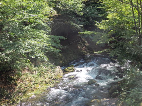 b0334084_08421567.jpg