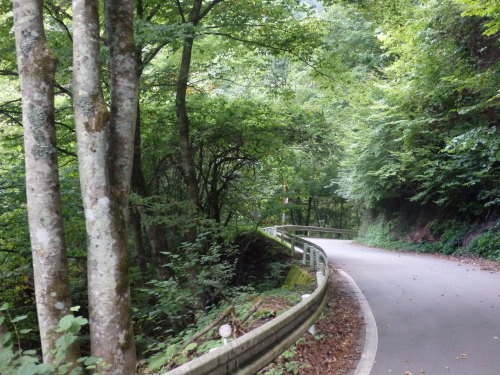 b0334084_08422647.jpg