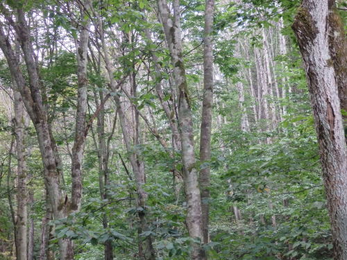 b0334084_08424533.jpg