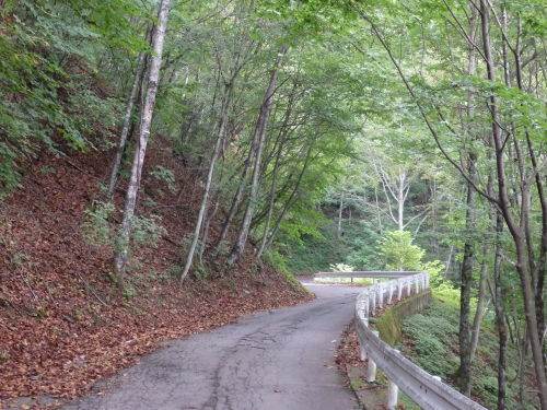 b0334084_08425459.jpg